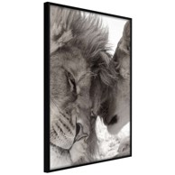 Poster Predatory Couple 30x45