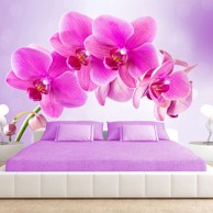 Foto tapeta Thoughtfulness 150x105