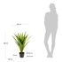 KAVE HOME Umjetna biljka Yucca, visina 80 cm  