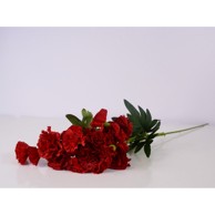 Rezano cvijeće Grana karanfila crvena 64 cm