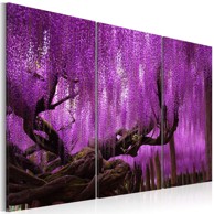 Slika Wisteria 60x40