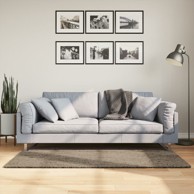 Tepih Istan s visokim vlaknima sjajni izgled sivi 80 x 150 cm