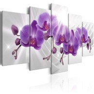 Slika Abstract Garden Purple Orchis 200x100