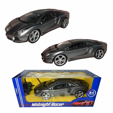 Sportski autić na daljinsko upravljanje, sorto