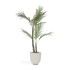 KAVE HOME Umjetna palma, visina 70 cm  