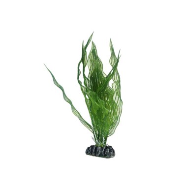 HOBBY Umjetno bilje Aponogeton, 25 cm