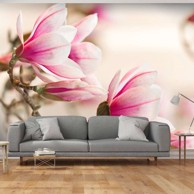 Foto tapeta Branch of magnolia tree 250x193