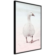 Poster Walking Goose 20x30