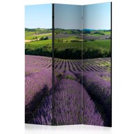 Sobna pregrada u 3 dijela Lavender fields 135x172