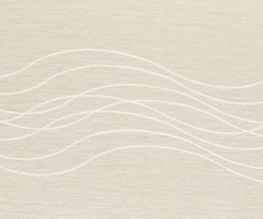 MIELE Platno za valjak Waves