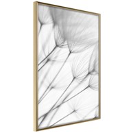 Poster Gentle Blow 20x30