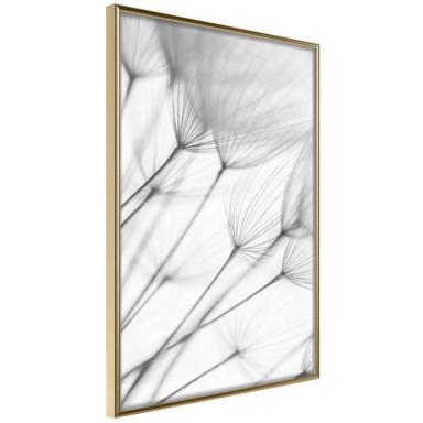 Poster Gentle Blow 20x30