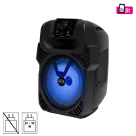 SAL Party zvučnik PAR20BTC, Bluetooth, FM radio, karaoke, 40/25 W