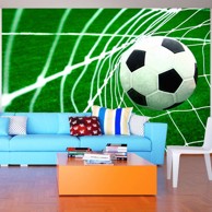 Samoljepljiva foto tapeta Goal! 245x175