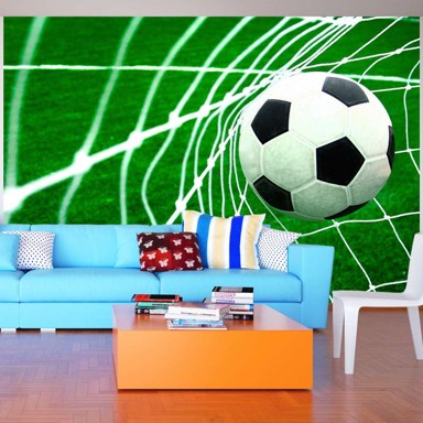Samoljepljiva foto tapeta Goal! 245x175