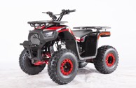 RAMIZ Quad na benzin Discoverer, 120 cm³, crveni