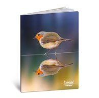 BLASETTI Bilježnica Scuola Animal mirror, A4 linije, 42 listova, meki uvez