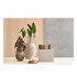 VILLA COLLECTION Set od 2 bež porculanske šalice Fjord, 250 ml