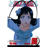 Bleach vol. 65
