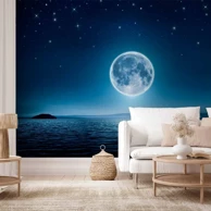 Foto tapeta Mjesečinom obasjana noć, 100x70 cm, Premium