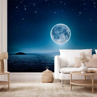 Foto tapeta Mjesečinom obasjana noć, 100x70 cm, Premium