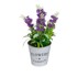 CASA SELECCION Umjetna lavanda Lavender, visina 30 cm