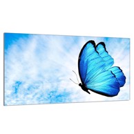 TMK Staklena zaštita za štednjak ili ploču za kuhanje 90 x 52 cm, leptir