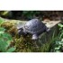 ESSCHERT DESIGN Metalna vrtna figurica Turtle