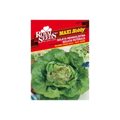 ROYAL SEEDS Sjeme povrća 54 salata majska kraljica