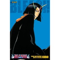 Bleach 3-in-1 vol. 13
