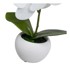 CASA SELECCION Umjetne biljke u setu 3 kom Orchid, visina 15 cm