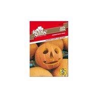 ROYAL SEEDS Sjeme povrća 167 tikva connecticut field