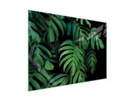 TMK Staklena zaštita za štednjak ili ploču za kuhanje 70x52, monstera