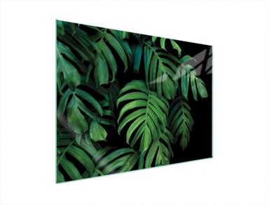 TMK Staklena zaštita za štednjak ili ploču za kuhanje 70x52, monstera