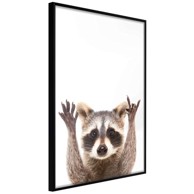 Poster Funny Racoon 40x60