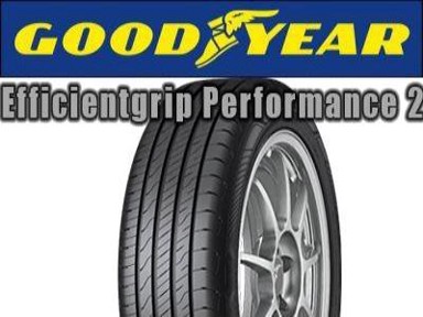 GOODYEAR Guma EFFICIENTGRIP PERFORMANCE 2, ljetna, 255/50R21, 109Y-XL