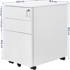 SONGMICS Uredsko spremište OFC60WT, bijela