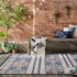 FLAIR RUGS Vanjski tepih Aster 230x160 cm, plavi