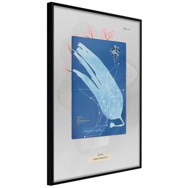 Poster Alga Cyanotype 20x30