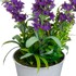 CASA SELECCION Umjetna lavanda Lavender, visina 30 cm