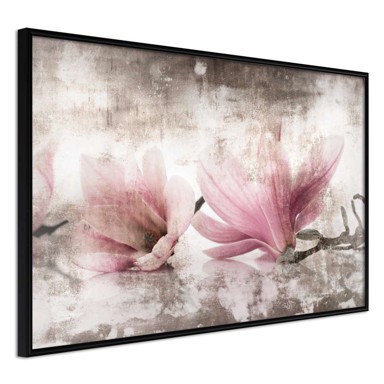Poster Picked Magnolias 30x20