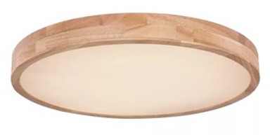 Stropna svjetiljka Rainer, Ø60 cm, LED, IP20, bijela