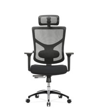ERGOVISION Ergonomska stolica ESSENT BALANCE