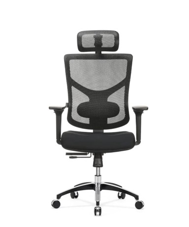 ERGOVISION Ergonomska stolica ESSENT BALANCE