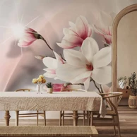 Foto tapeta White magnolias, 250x175 cm