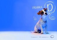 LIPA MILL Pisanka D, B5, linije, 48 listova, meki uvez