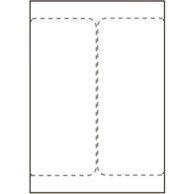CAPTURE Etikete za otpremu 105 x 220 mm, za laserske/inkjet pisače, /list, 500 listova/kutija, SHIPLABEL105X220-I2P, 2 kom.