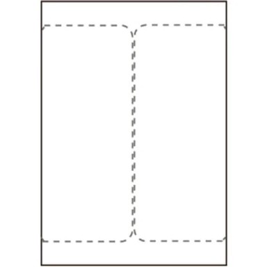 CAPTURE Etikete za otpremu 105 x 220 mm, za laserske/inkjet pisače, /list, 500 listova/kutija, SHIPLABEL105X220-I2P, 2 kom.