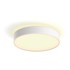 PHILIPS HUE LED Stropna svjetiljka 19 W Devere