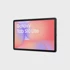 SAMSUNG Tablet Galaxy Tab S10 Lite SM-X400 WiFi 128GB, sivi
